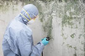 Best Crawl Space Mold Remediation  in New Albany, MS